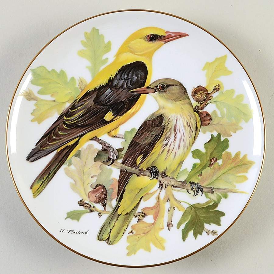 Band's Songbirds of Europe Golden Oriole - Boxed by Tirschenreuth-1
