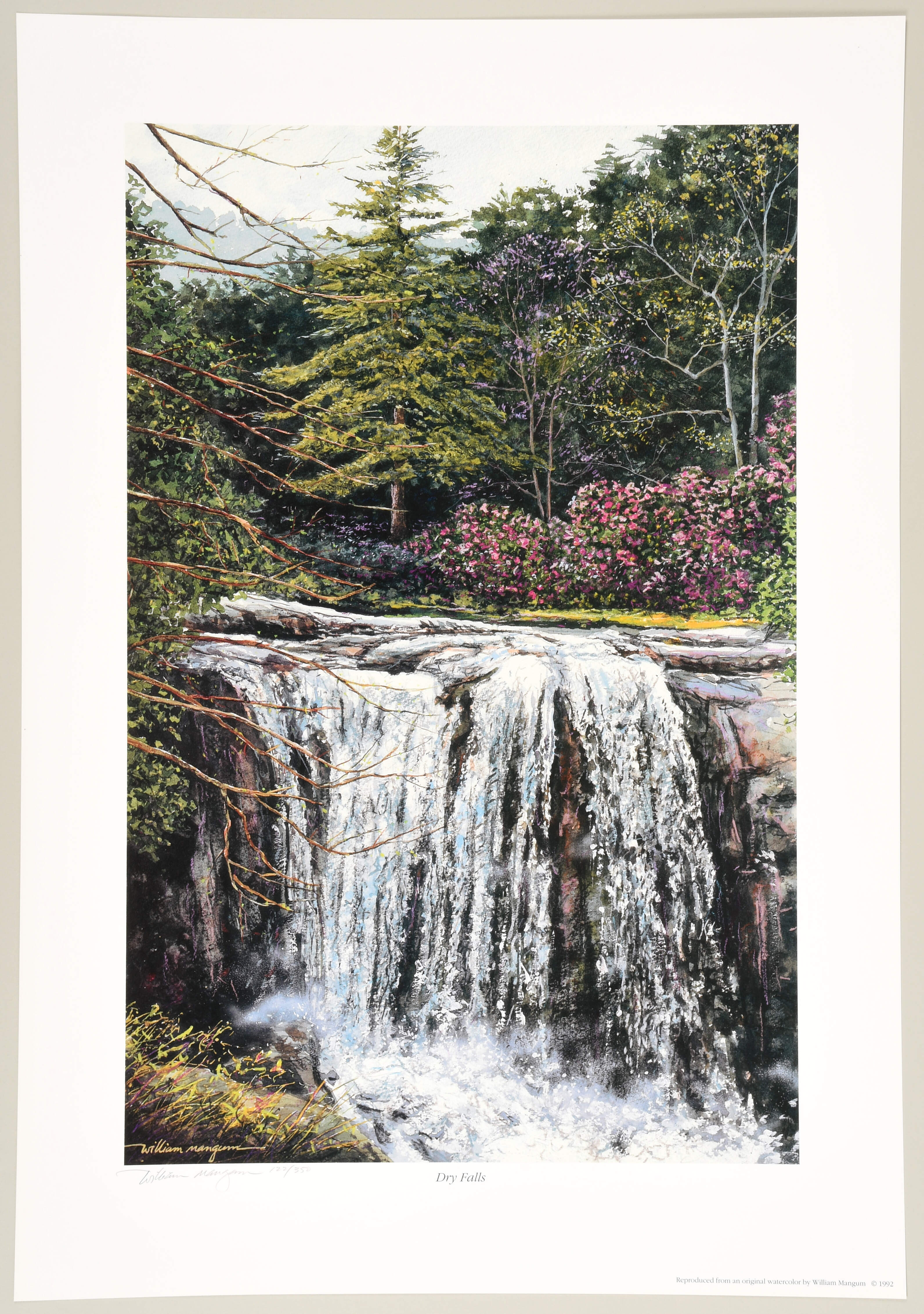 William Mangum Prints Dry Falls - Boxed by William Mangum-1