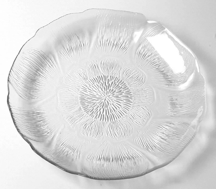 Fleur Dinner Plate by Arcoroc-1