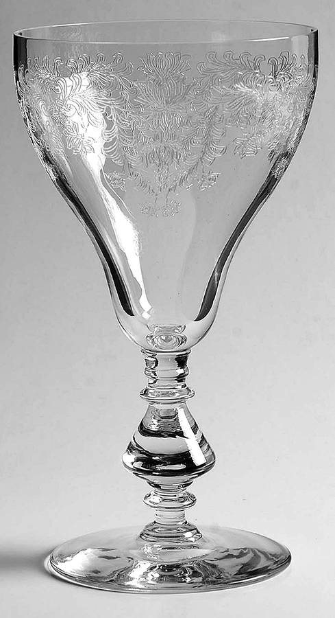 Fern Leaf (Stem 894, Etched) Water Goblet by Bryce-1