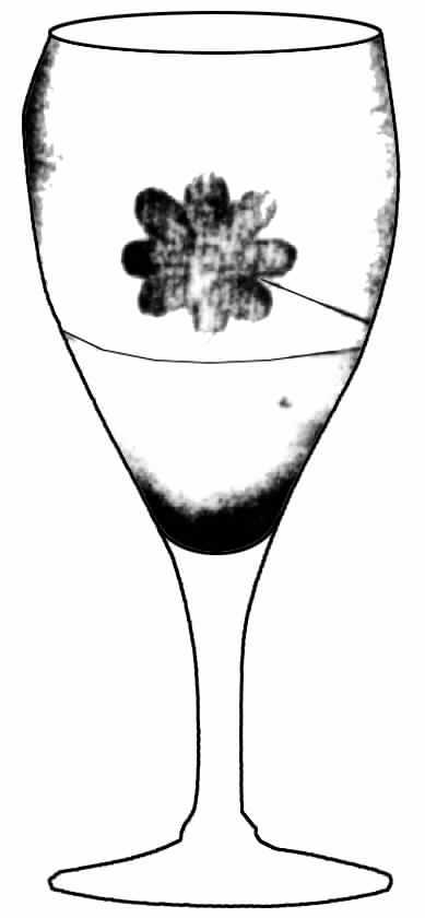 Cut 2097 Water Goblet by Cambridge-1