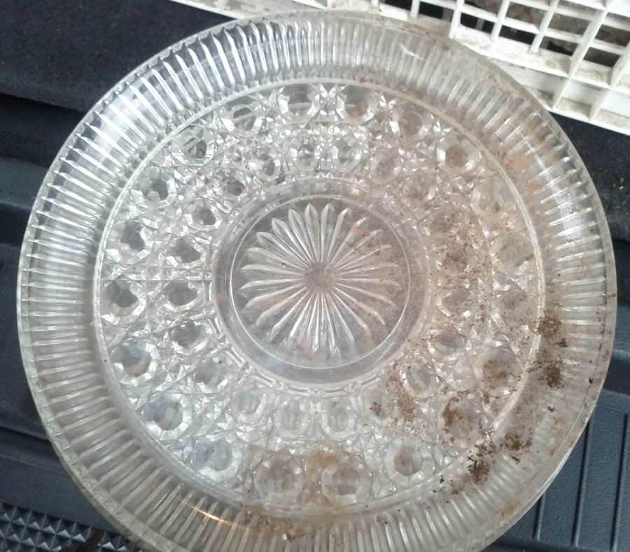 Windsor Clear Dinner Plate by Federal Glass -1