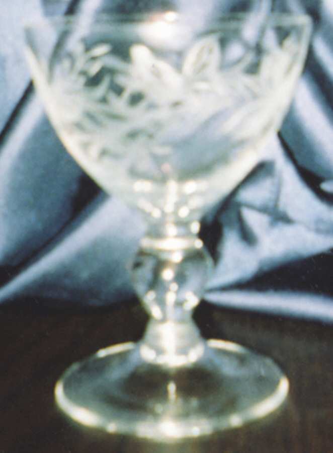 Rose Leaf Champagne/Tall Sherbet by Lonnquists-1