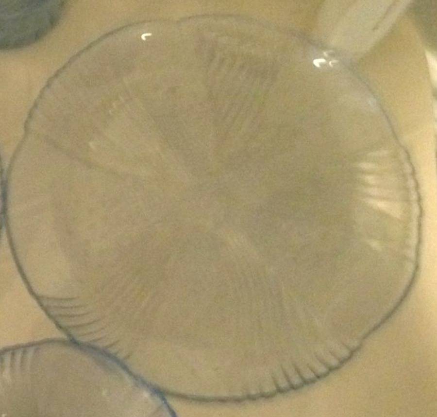 Harmony Blue Coupe Soup Bowl by Libbey Glass Company-1