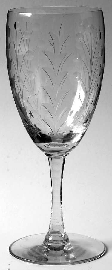Water Witch Water Goblet by Libbey Glass Company-1
