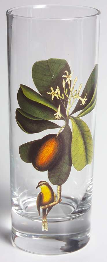 New York Botanical Garden Bird 12 Oz Flat Tumbler by Lunt-1