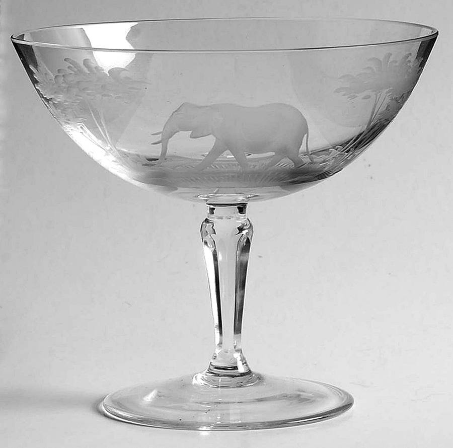 Kenyan-African Champagne/Tall Sherbet by Queen Lace-1