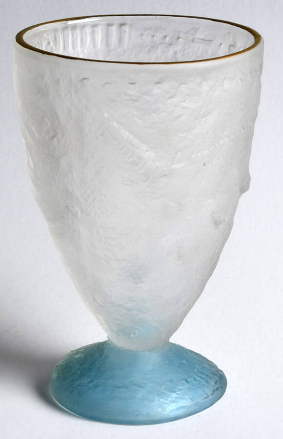 Fossilglass 10 Oz Blue Footed Tumbler by Christina Salusti-1