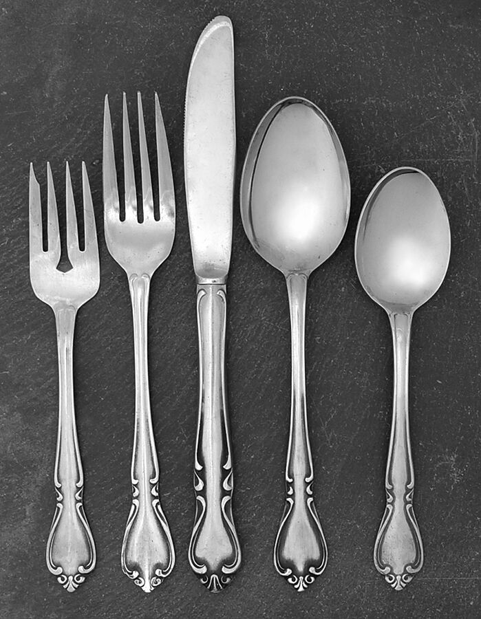 Creon (Stainless) 5 Piece Place Setting by Amcrest-1