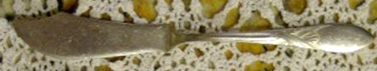 Lady Amelia (Silverplate, 1919) Flat Handle Master Butter Knife by Associated Silver-1