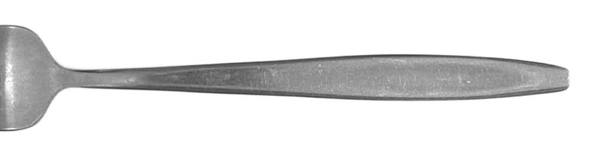 ASI2 (STAINLESS) Individual Salad Fork by AMC-1