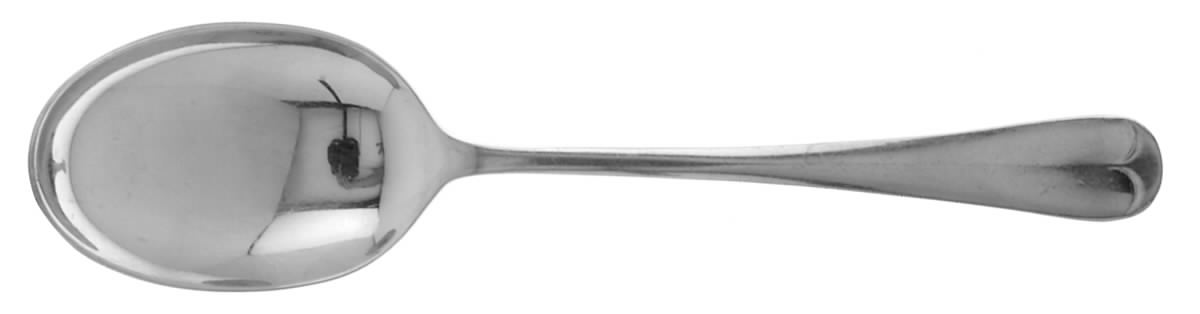 Queen Anne (Stainless) Place/Oval Soup Spoon by George Butler-1