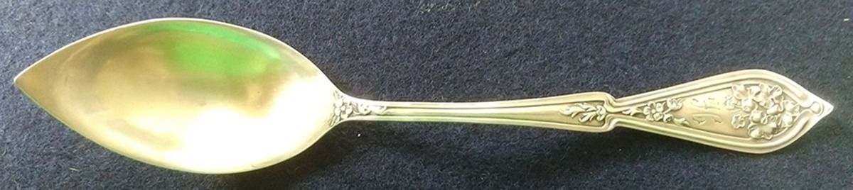 Sweetbrier (Sterling) Fruit/Orange Spoon by R. Blackinton & Co-1