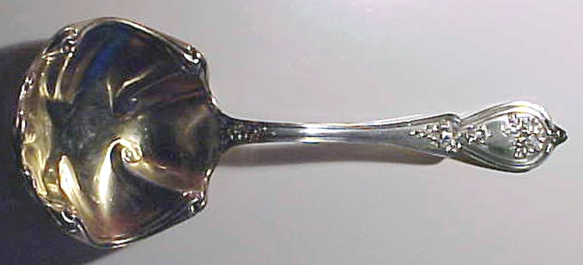 Sweetbrier (Sterling) Medium Solid Berry/Casserole Spoon by R. Blackinton & Co-1