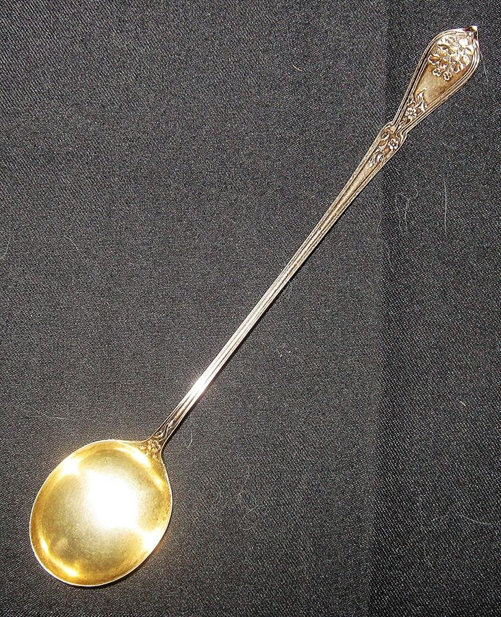 Sweetbrier (Sterling) Iced Tea Spoon by R. Blackinton & Co-1