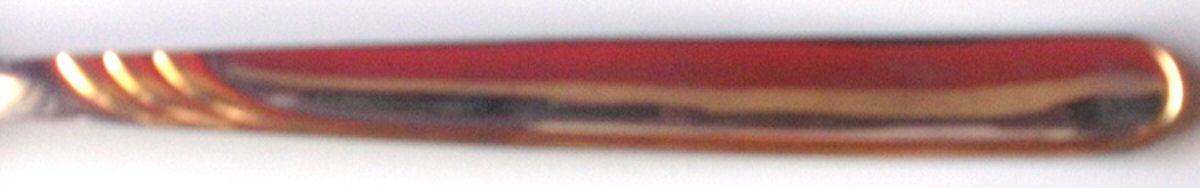 BSF15 (Gold Accent) Fork by Bremer Silberschmied-1