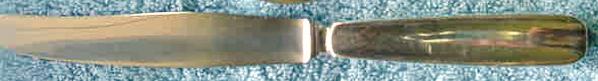 BWX2 (Silverplate) New French Hollow Knife by Bruno Wiskemann-1