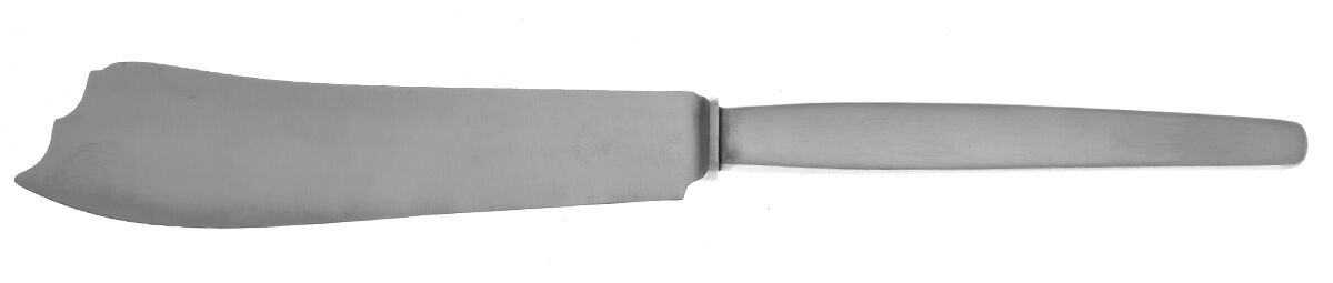 Linden (Stainless) Large Hollow Handle Fish Serving Knife by C Hugo Pott-1