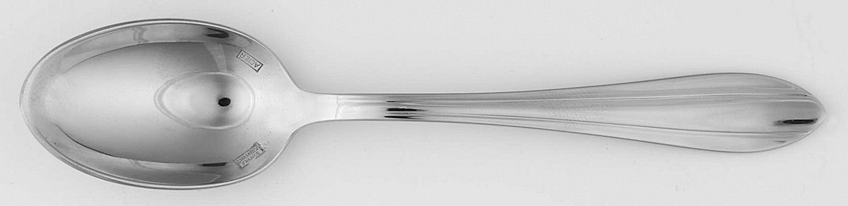 Grand Prix (Stainless) Teaspoon by Chambly-1