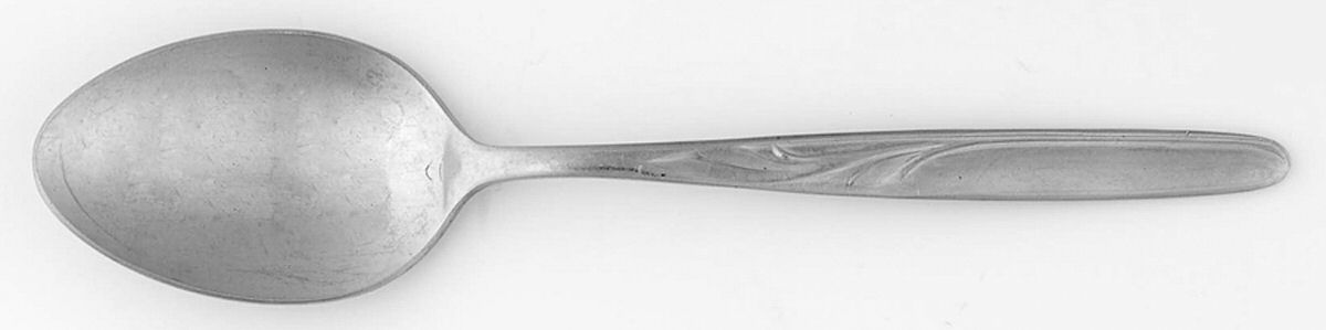 CIF18 (Stainless) Teaspoon by CI-1