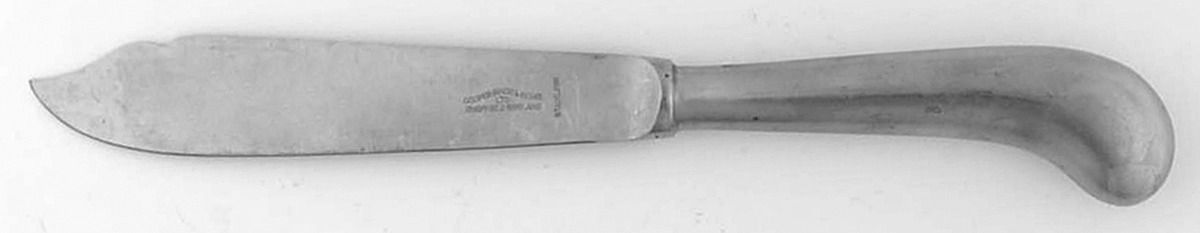 Queen Anne (Stainless, Satin) Hollow Pistol, Individual Solid Fish Knife by Cooper Bros & Sons-1