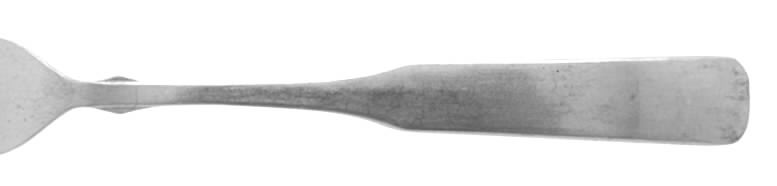 New Colonial (Stainless) Fork by Capco-1