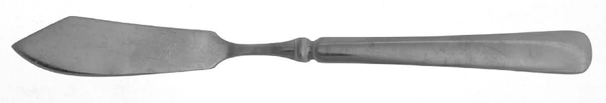 Record (Stainless, Glossy) Flat Handle Master Butter Knife by Cambridge Silver-1