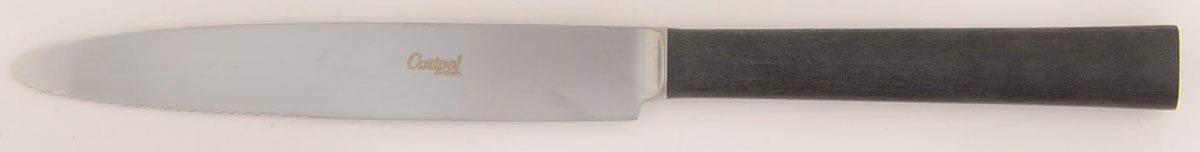 Ebony (Stainless) Individual Steak Knife Hollow Handle by Cutipol-1