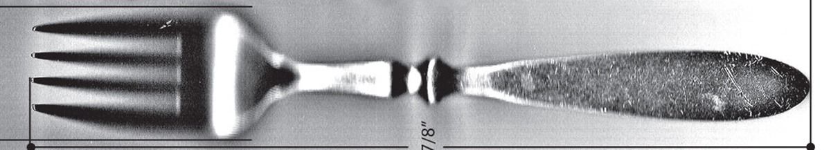 Emily (Stainless) Individual Salad Fork by Cooks (Jc Penney)-1