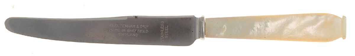 Pearl Handle (Stainless) Individual Fruit Knife with Stainless Blade by Cheltenham & Co Ltd-1