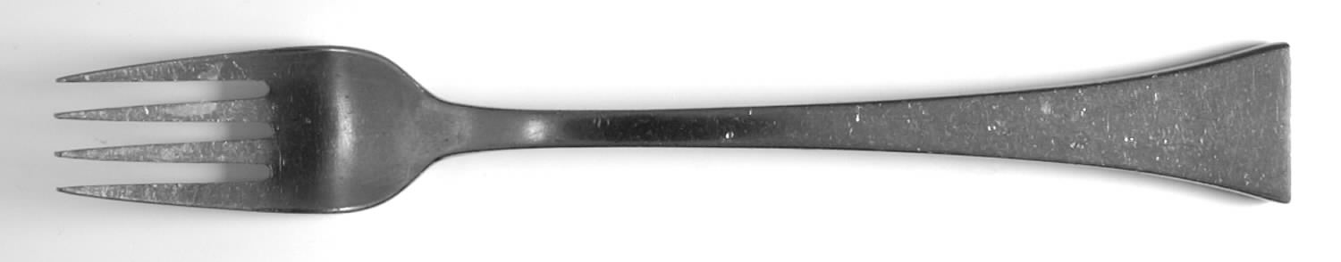Contempri (Stainless) Fork by Delco-1