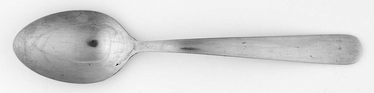 DEO3 (STAINLESS) Teaspoon by Delco-1