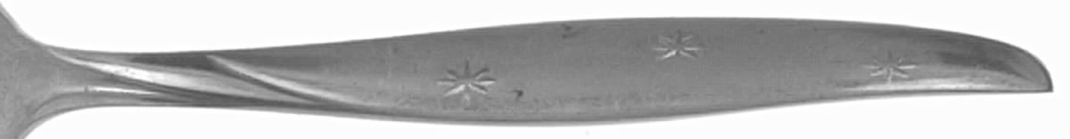 DIX1 (STAINLESS) Teaspoon by Dixon Steel Smith-1