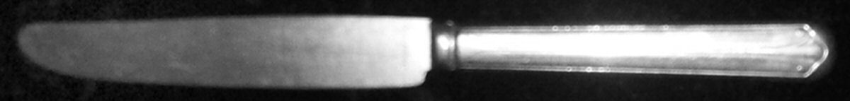 DSC4 (Stainless) New French Hollow Knife by Diamond Silver Co-1