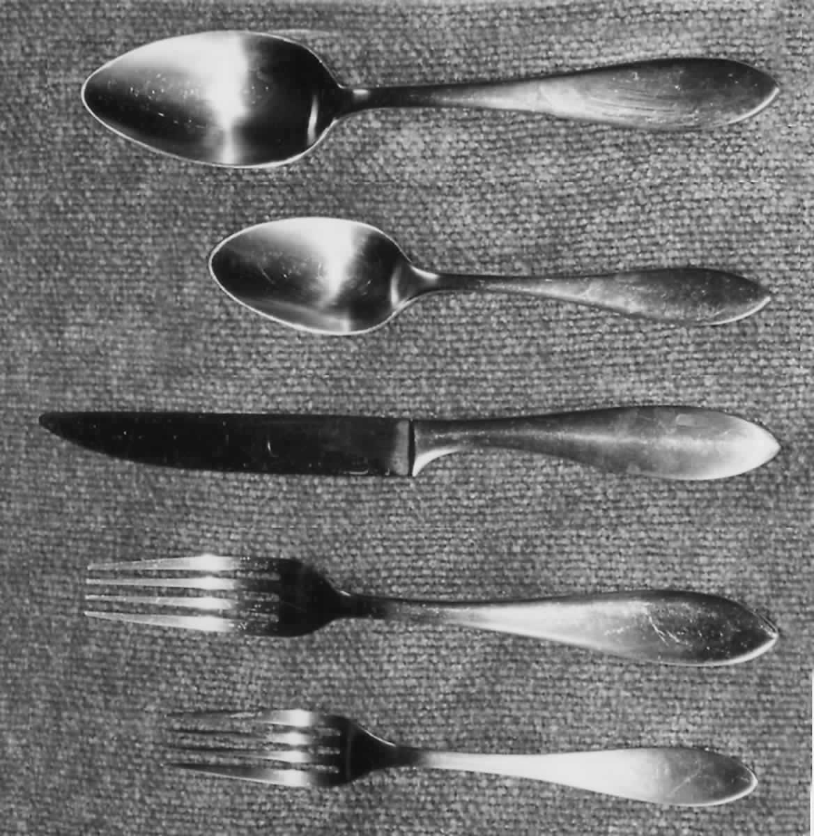 Form (Stainless) Fork by Design House-1