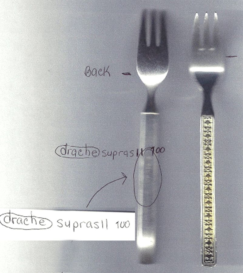 DRH4 (Stainless) Fork by Drache-1
