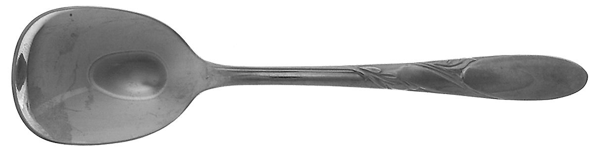 Brooklea (Stainless) Sugar Spoon by Empire Crafts-1