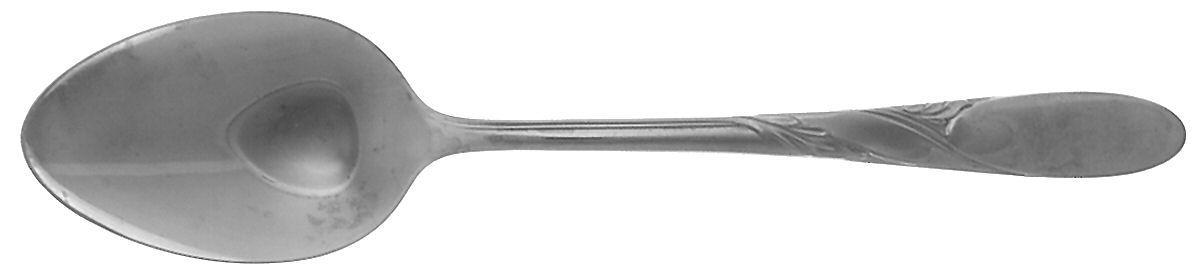 Brooklea (Stainless) Tablespoon (Serving Spoon) by Empire Crafts-1
