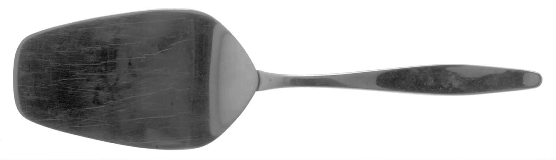 Chandelle (Stainless) Solid Pastry Server by Easterling-1