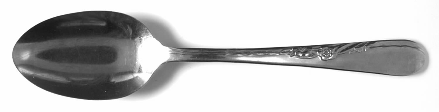 EVS17 (STAINLESS) Teaspoon by Everbrite Stainless-1