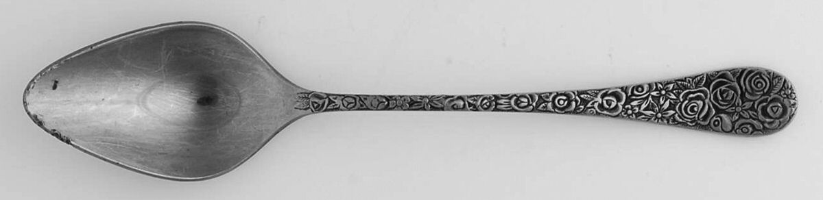 EPS18 (STAINLESS) Teaspoon by Epic Silver-1