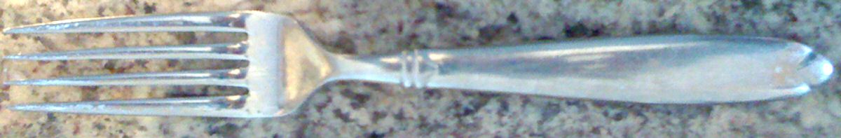 EBX2 (Stainless) Fork by Eddie Bauer-1