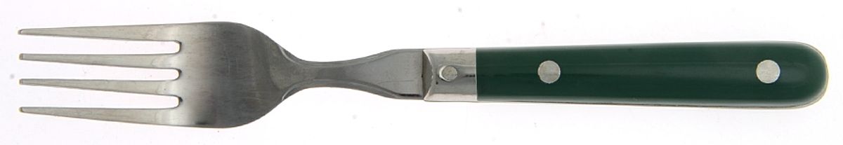 Colours-Hunter Green (Stainless) Individual Salad Fork by Farberware-1