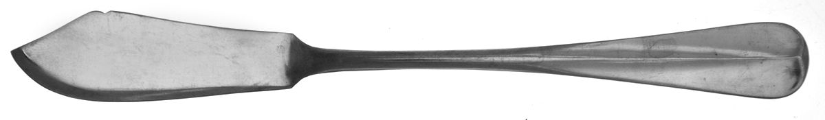 Ardsley (Stainless) Flat Handle Master Butter Knife by F B Rogers-1