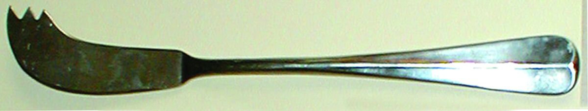 Ardsley (Stainless) Solid Cheese Serving Pick by F B Rogers-1