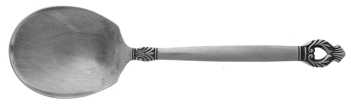 Erika (Stainless) Solid Smooth Casserole Spoon by F B Rogers-1