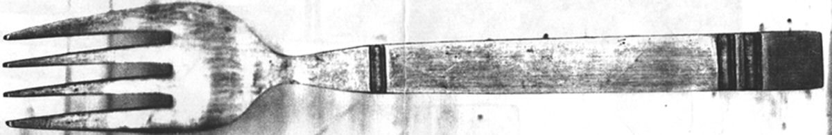 FBR15 (STAINLESS) Individual Salad Fork by F B Rogers-1