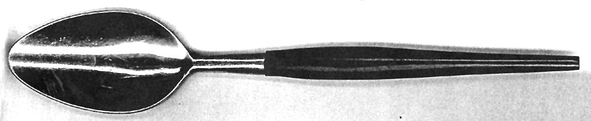 FBR34 (Stainless) Teaspoon by F B Rogers-1