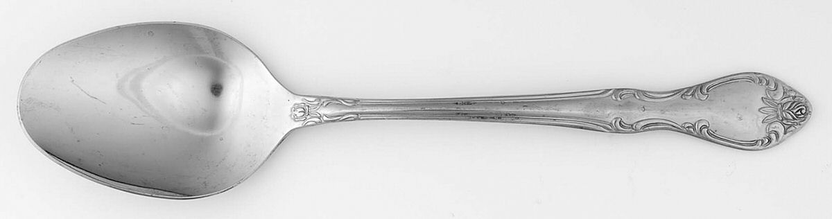 FBR41 (Stainless) Tablespoon (Serving Spoon) by F B Rogers-1