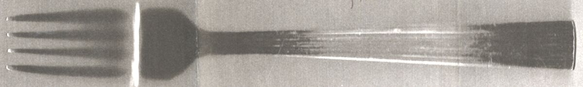 FRW63 (Stainless) Fork by Farberware-1